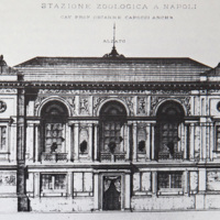 Stazione Zoologica, Fassadenentwurf von Oscarre Capocci